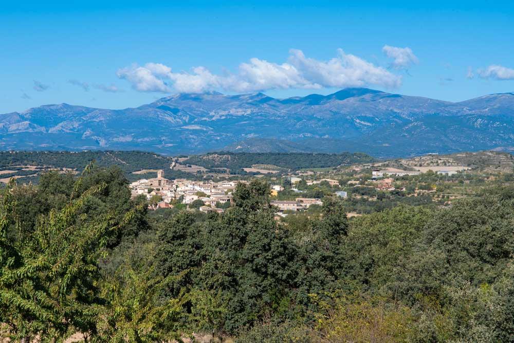 Imagen Flora y Fauna en el Somontano de Barbastro